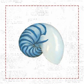 Navy Nautilus Shell on Newsprint with Red