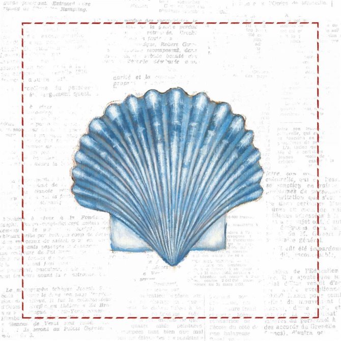 Navy Scallop Shell on Newsprint with Red