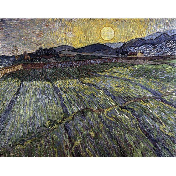 Enclosed Field with Rising Sun, Saint-Remy - Cuadrostock