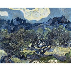 Olive Trees With The Alpilles In The Background,Saint-Remy