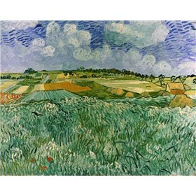 Plain Near Auvers - Cuadrostock