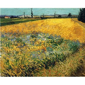 Wheatfield 1888