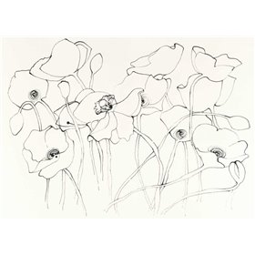 Black Line Poppies III