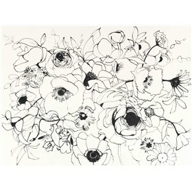 Black Line Poppies Mix