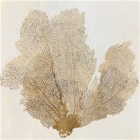 Luxe Coral I