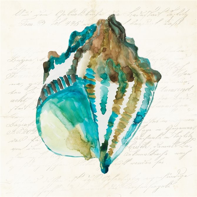 Shell