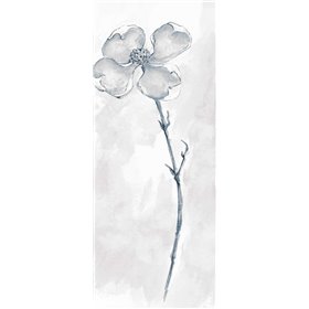 Solitary Dogwood III Gray