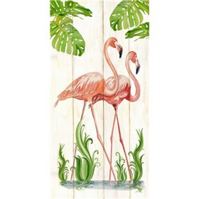 Flamingo Stroll 1