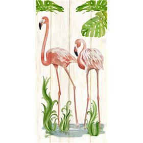 Flamingo Stroll 2