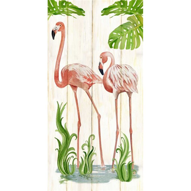 Flamingo Stroll 2 - Cuadrostock