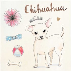 Chihuahua Escapades