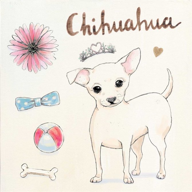 Chihuahua Escapades - Cuadrostock