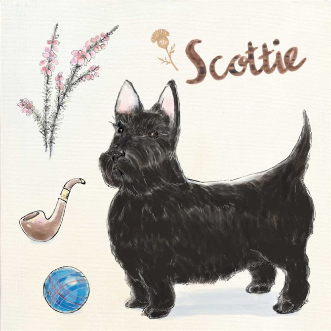Scottie Dog Escapades - Cuadrostock