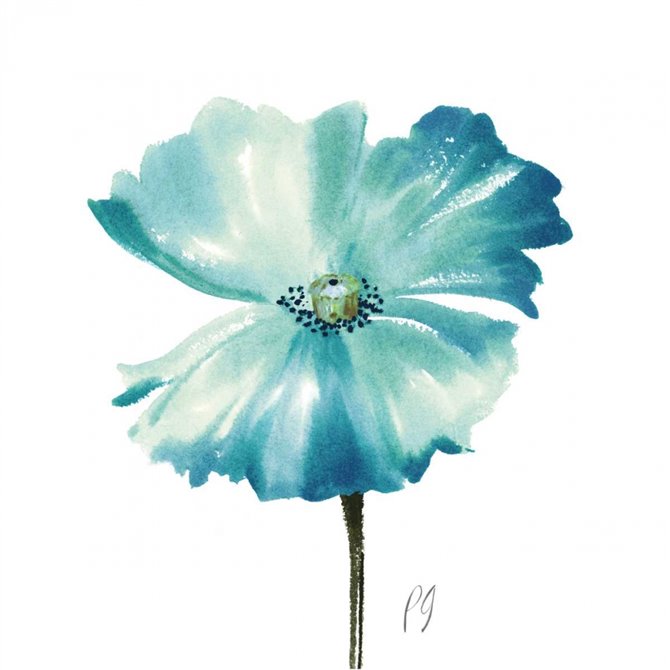 Poppies Tempo II