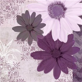 Purple Bloom 3 - Cuadrostock