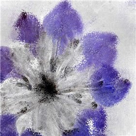 Navy Bloom 1