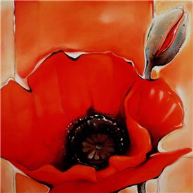 Crimson Poppy 1 - Cuadrostock