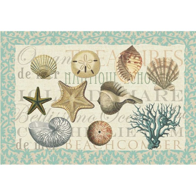 Sea Shell Collection - Cuadrostock
