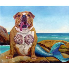 Mermaid Dog - Cuadrostock