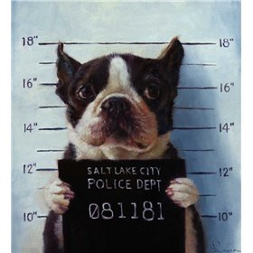 Mug Shot