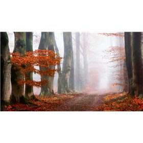 Last Guide before the Mist