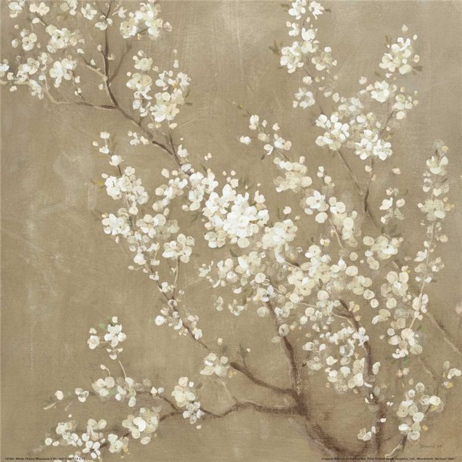 White Cherry Blossoms II Neutral Crop