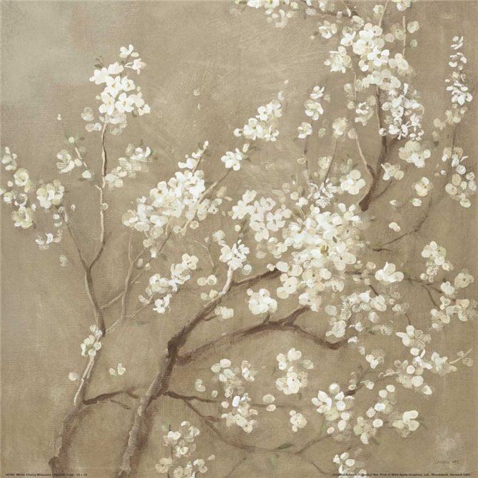 Cuadro para dormitorio - White Cherry Blossoms I Neutral Crop - Cuadrostock
