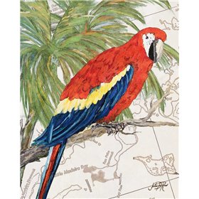 Another Bird in Paradise I
