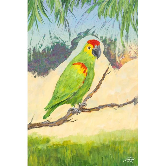 Tropic Bird in Paradise II - Cuadrostock