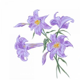 Floral III - Cuadrostock