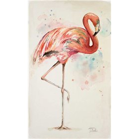 Flamingo II - Cuadrostock