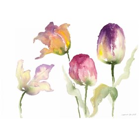 Lavender Hues Tulips I