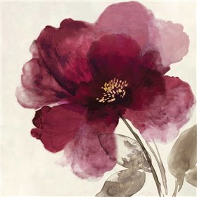 Crimson Peony II - Cuadrostock