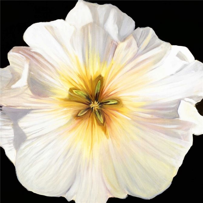 White Bloom I - Cuadrostock