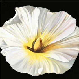 White Bloom II