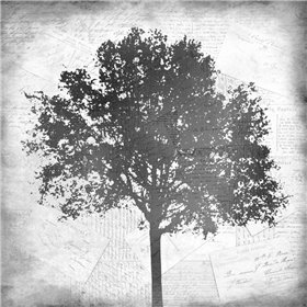 Tree Silhouette Black and White 1 - Cuadrostock