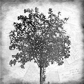 Cuadro para dormitorio - Tree Silhouette Black and White 2 - Cuadrostock