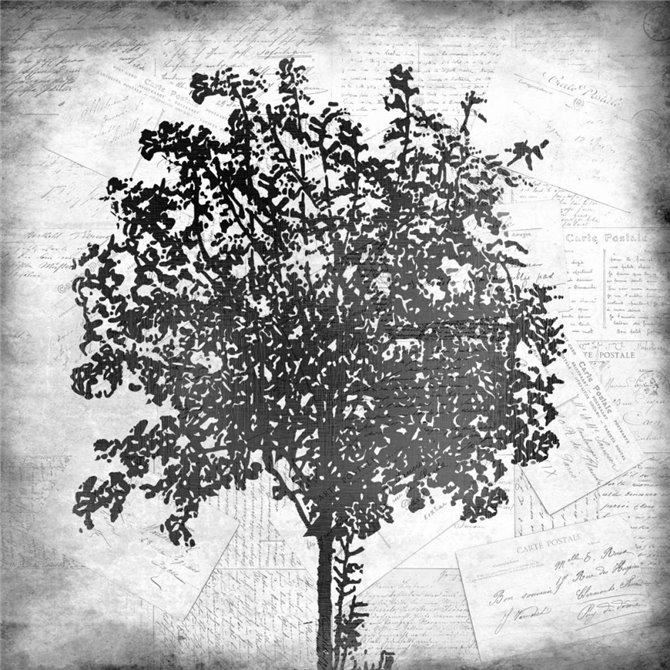 Tree Silhouette Black and White 2