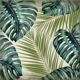 In the Tropics 2
