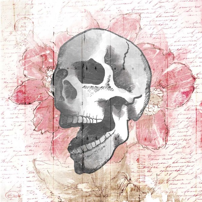Floral Skull - Cuadrostock
