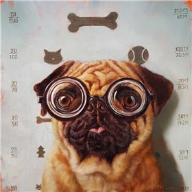 Canine Eye Exam - Cuadrostock