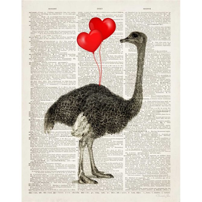 Ostrich In Love - Cuadrostock