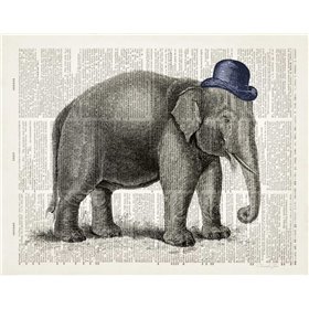 Elephant In A Bowler - Cuadrostock