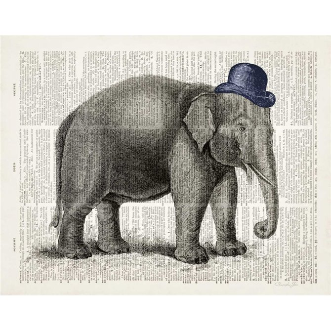 Elephant In A Bowler - Cuadrostock