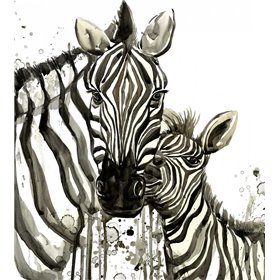 Zebra Cuddles