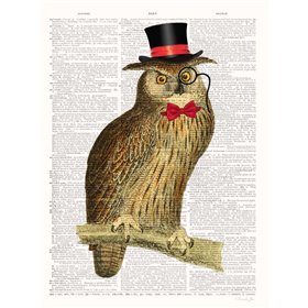 A Dapper Bird