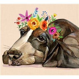 Dog With A Wreath Of Colorful Blossoms 11