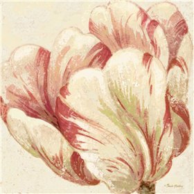 Floral Fresco II  - Cuadrostock