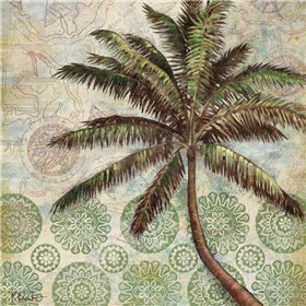 Delray Palm II