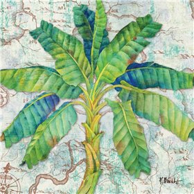 Aqueous Palm II